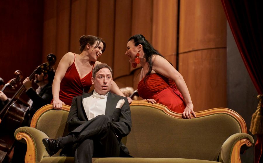 Candide | &copy; Bj�rn Hickmann 